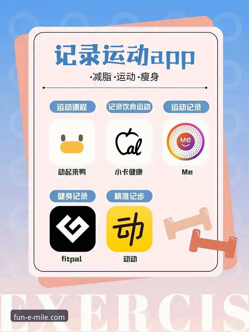 MILE体育APP最新版本上线，新手用户安全体验指南全解析